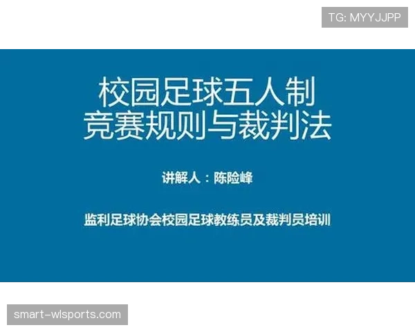 青少年足球规则中裁判判罚标准与比赛适应性解析